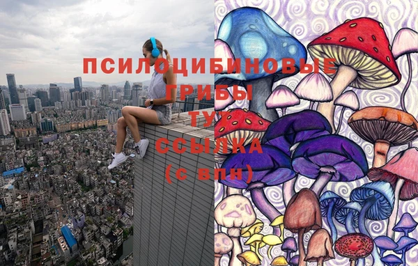 бошки Рославль