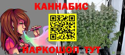 прущие грибы Камышлов