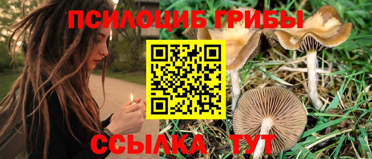 Чебаркуль  Псилоцибиновые грибы мицелий  Вход с VPN 