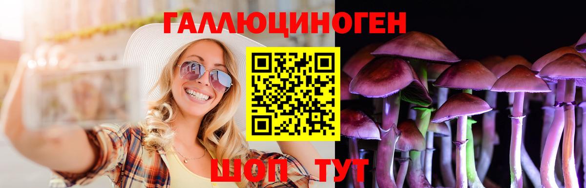Галлюциногенные грибы Psilocybine cubensis Чебаркуль